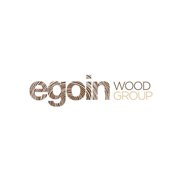 Logotipo de Egoin